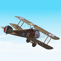 SE5A Decal